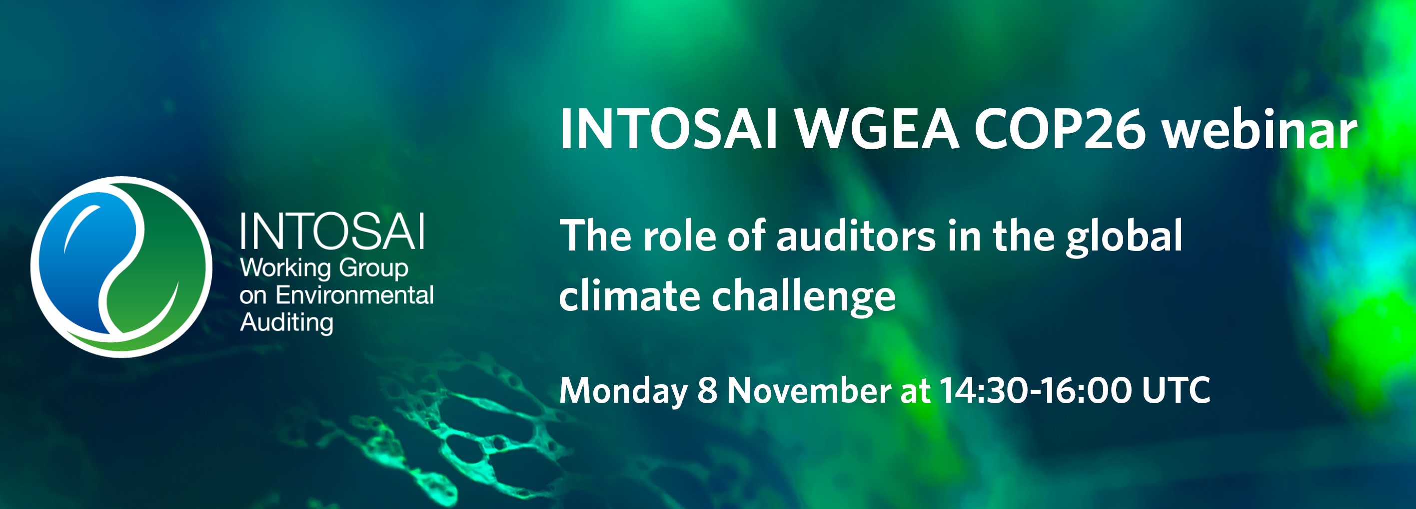 The INTOSAI WGEA COP26 Webinar - The role of auditors in the global climate challenge 