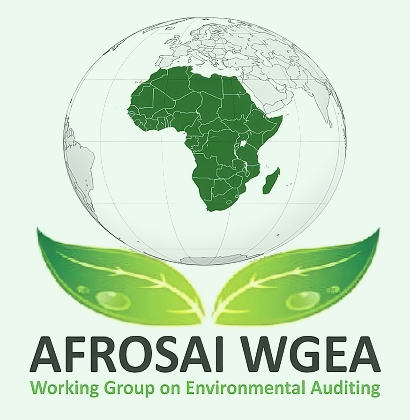 AFROSAI_WGEA