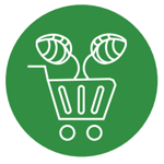 gfpt_procurement